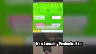 Hocheffiziente automatische Produktionslinie zum Glühen und Wärmebehandeln von Drähten | Industrielle Metalllösung